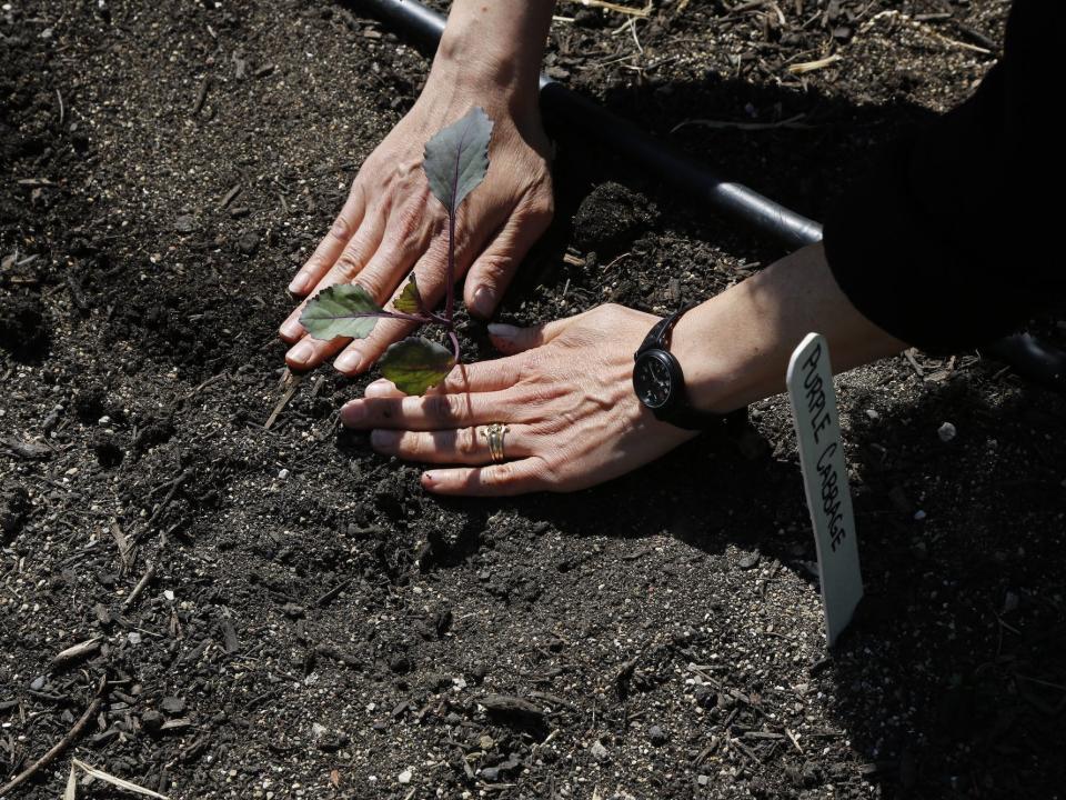 12 netikėtų nešiojamų daiktų, kurių neleidžiama pasiimti per oro uosto saugumo patikrą