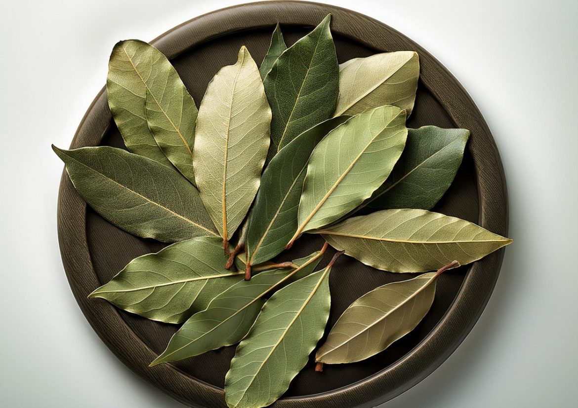 lauro lapu ir folija