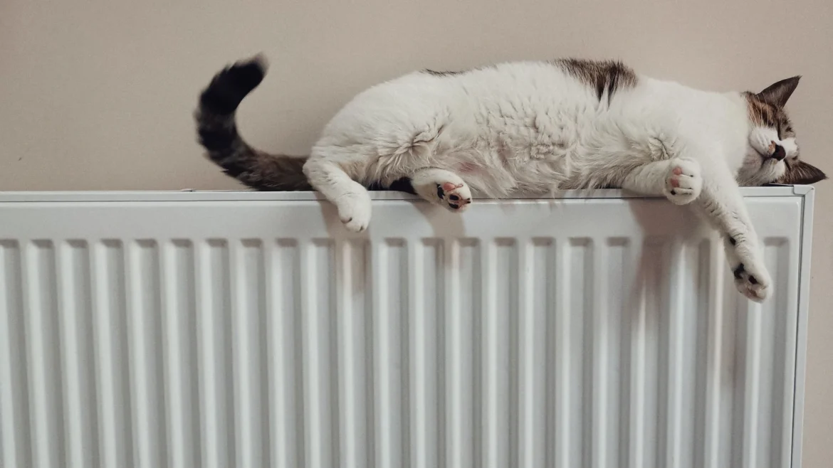 temperatūra