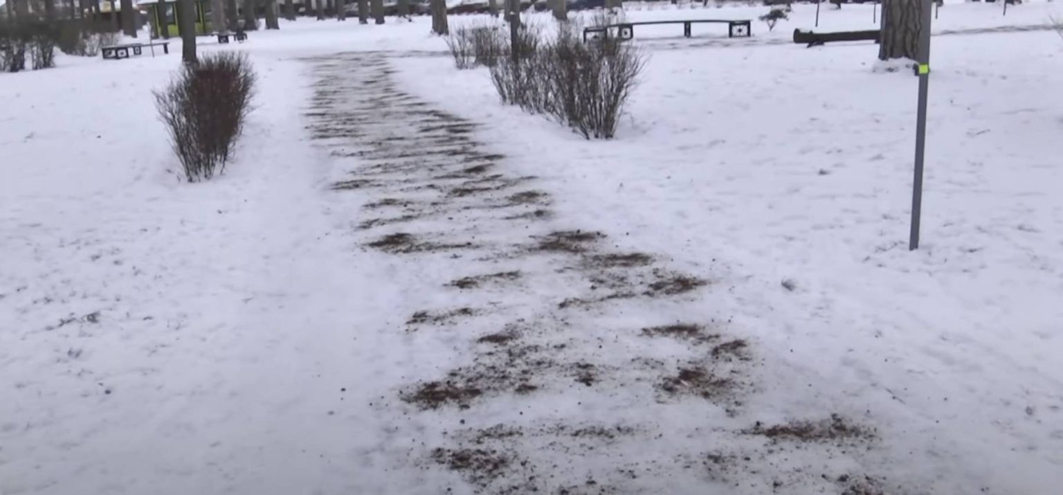 Žiemą labai praverčia kavos tirščiai. Daugelis žmonių apie tai nė nenutuokia ir jas išmeta.