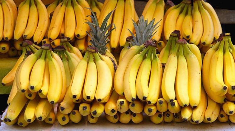 Jei namuose turite banano žievelių, turite lobį: penki būdai, kaip panaudoti šį ingredientą kasdienybėje
