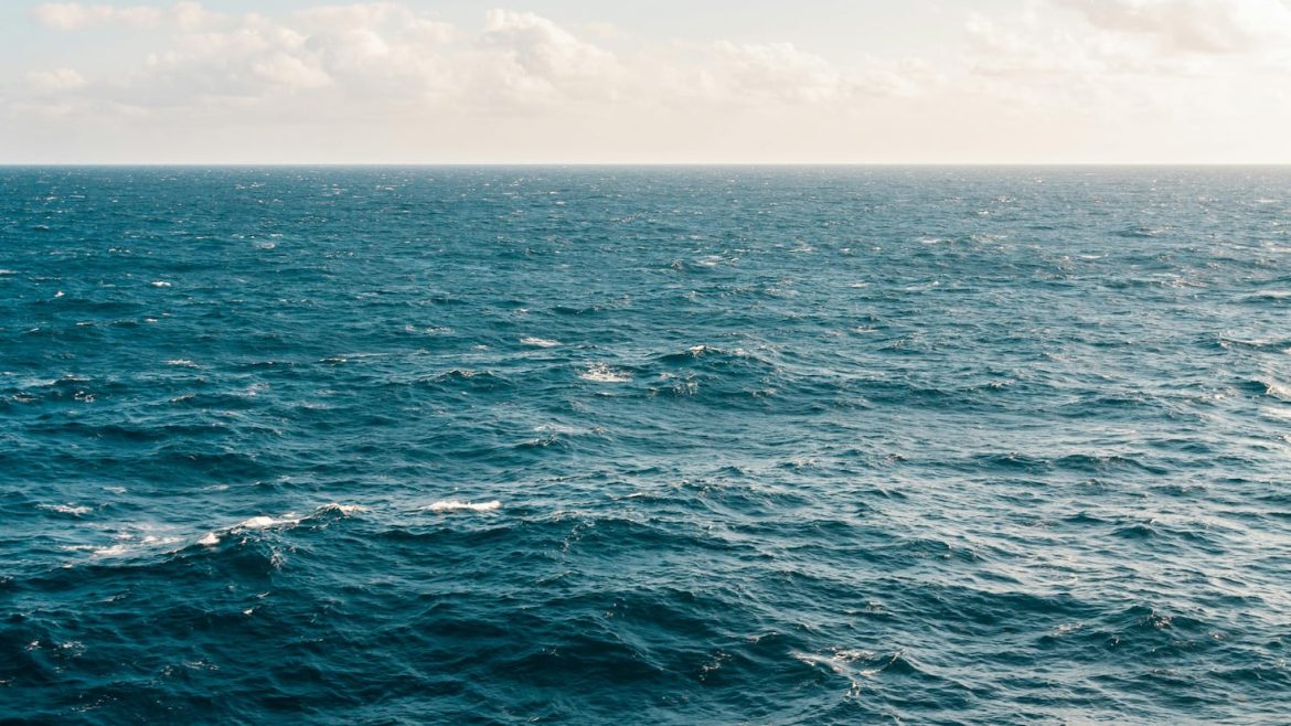 Investigadores españoles activan las alarmas por la situación de las olas de calor en el mar: “Consecuencias para la vida marina”