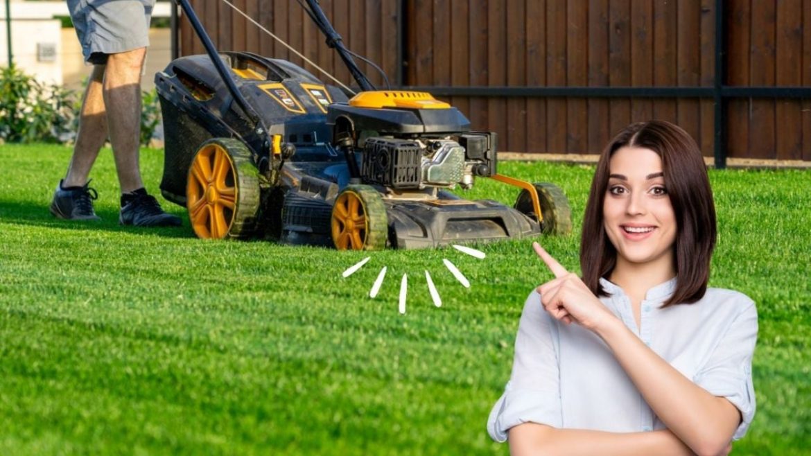 Toma aire antes de saber cuál es la altura perfecta del césped; según jardineros