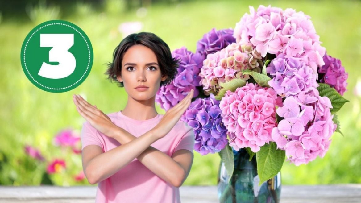 3 flores que atraen la mala suerte si están en tu casa; según el Feng Shui