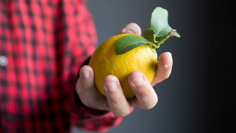 Nei folija, nei plėvelė: geriausias būdas laikyti citrinas ir apsaugoti jas nuo gedimo