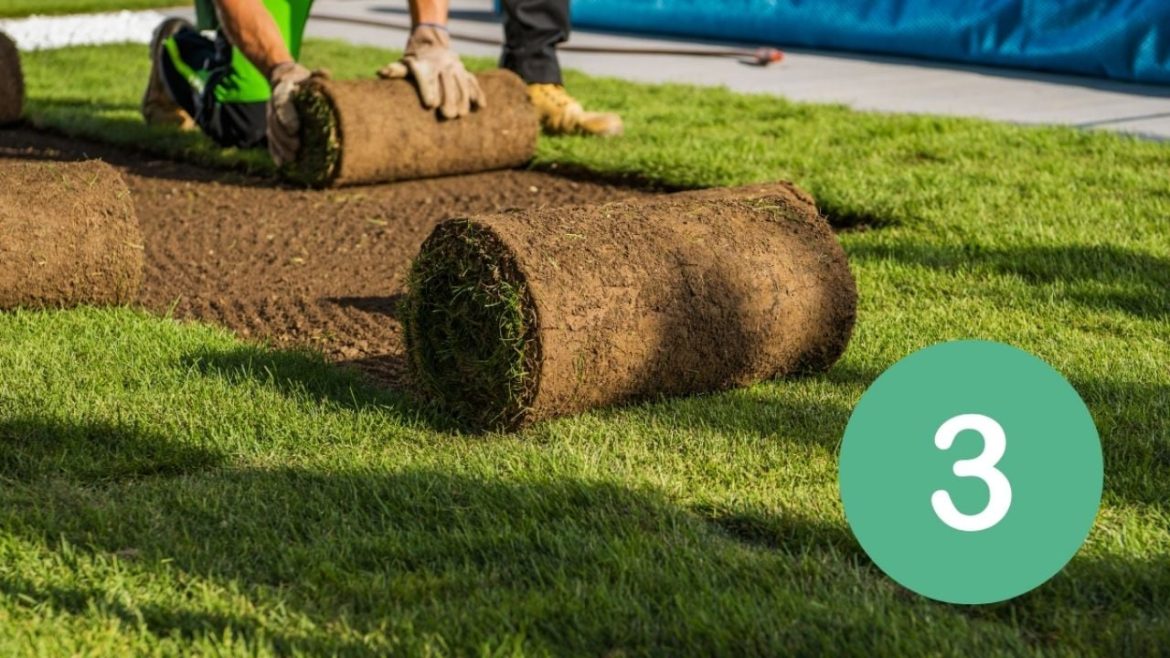 Natūrali žolė yra ne daugiau: 3 ekspertų sprendimai žaliajam sodui 365 dienas per metus