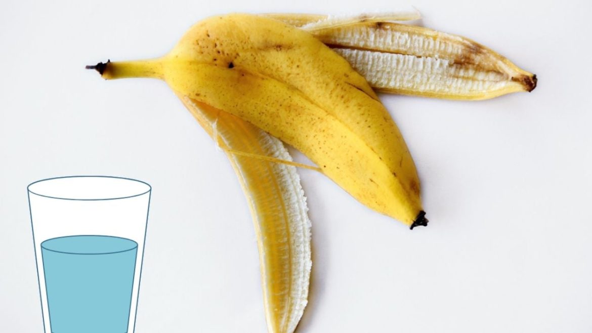Išlikite ramūs, kol dar nežinote, kodėl vis daugiau žmonių bananų žieveles deda į stiklinę vandens