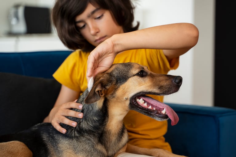 Prieš taikant bet kokį gydymą, siūloma pasikonsultuoti su veterinarijos gydytoju. (Nuotrauka: Freepik)
