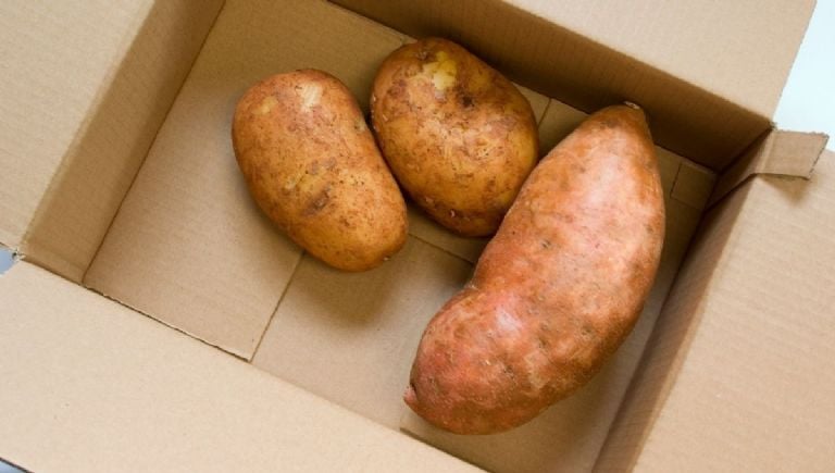 Kaip laikyti bulves, kad jos neaugtų šaknų