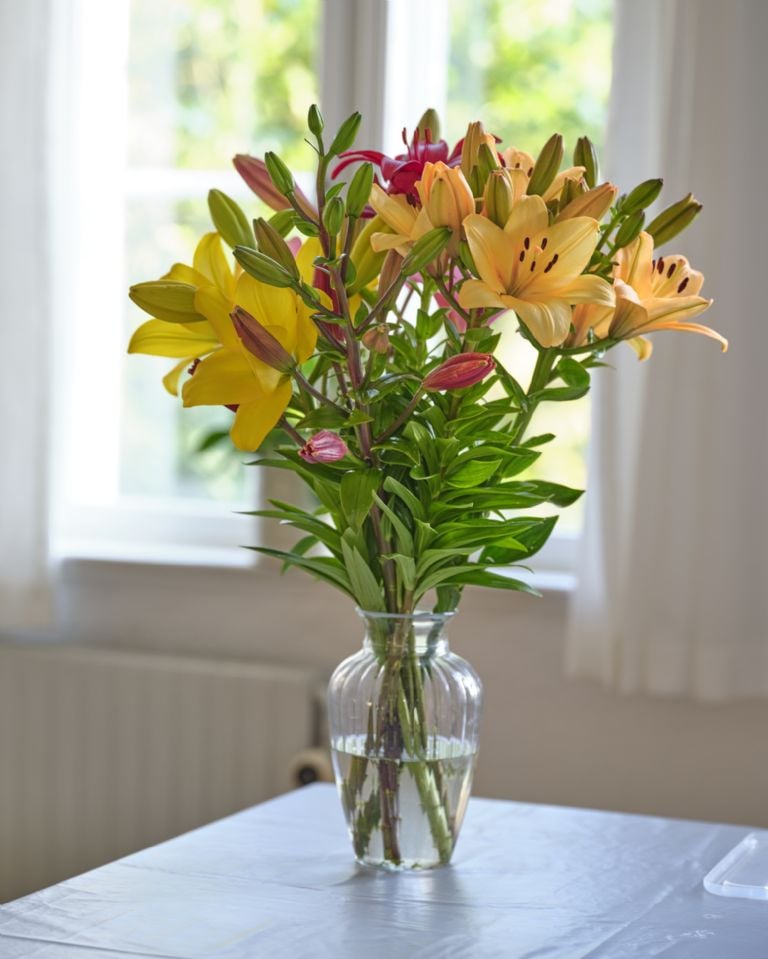 flores