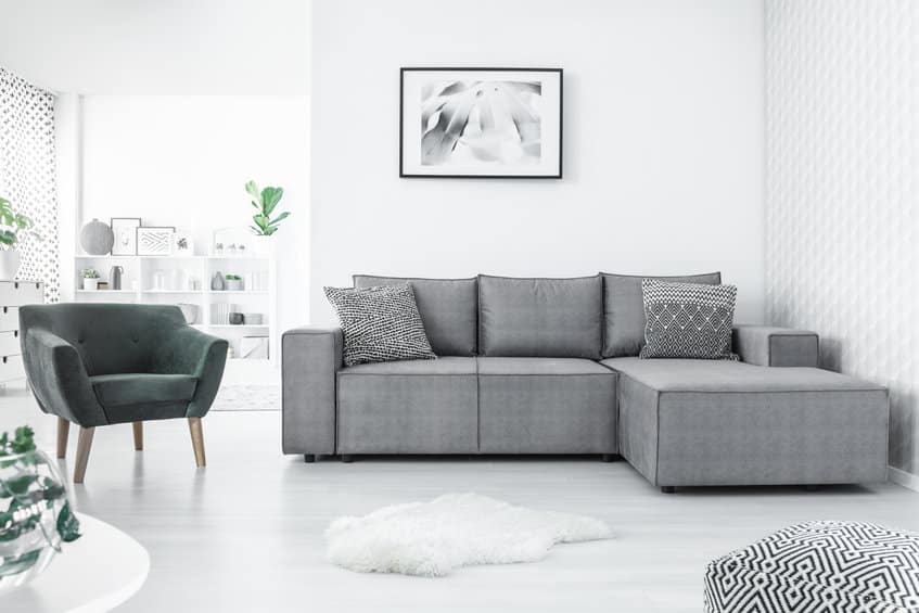 Fotelis ir kampinė sofa