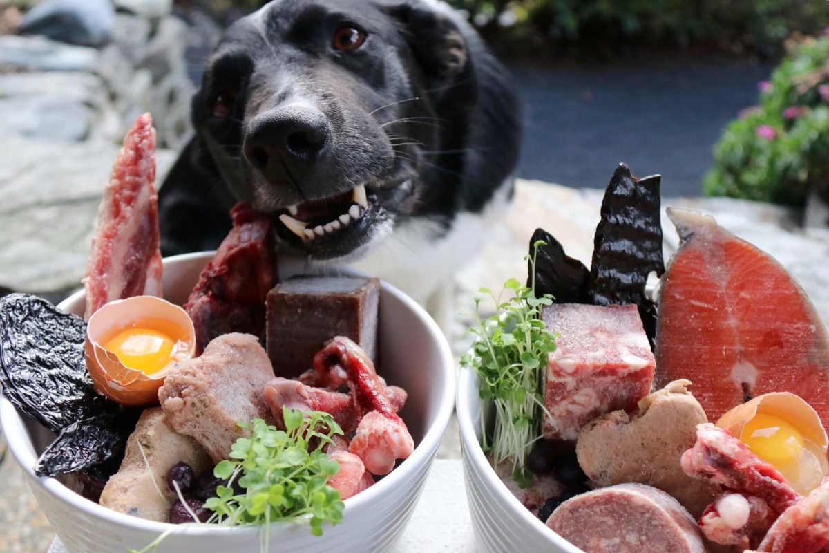 Ar žalios mitybos dieta tinka jūsų šuniui? Štai ką sako ekspertai