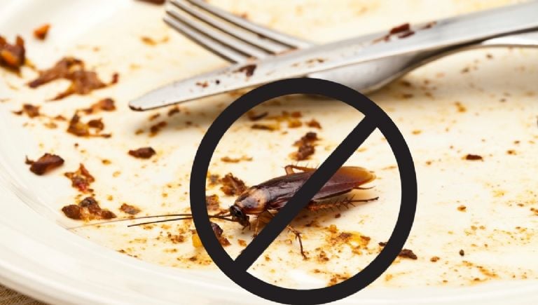 Išvarykite tarakonus iš virtuvės visam laikui naudodami šį mirtiną naminį trijų ingredientų mišinį.
