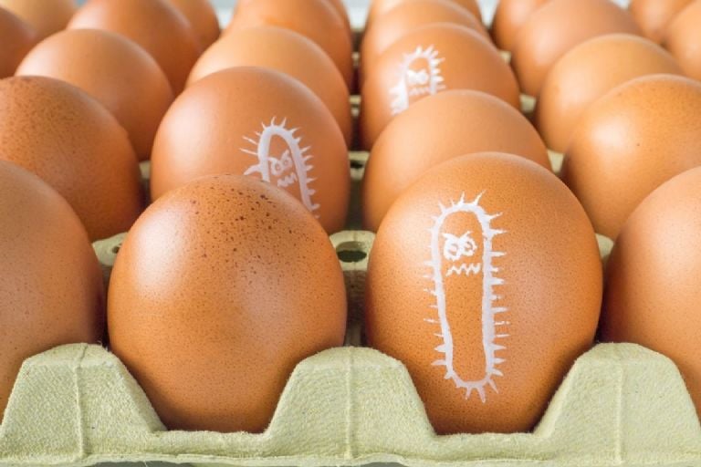 Kiaušiniai su SALMONELLA: įspėjimas apie pavojų sveikatai, paskelbtas radus 6 užterštus kiaušinių prekės ženklus
