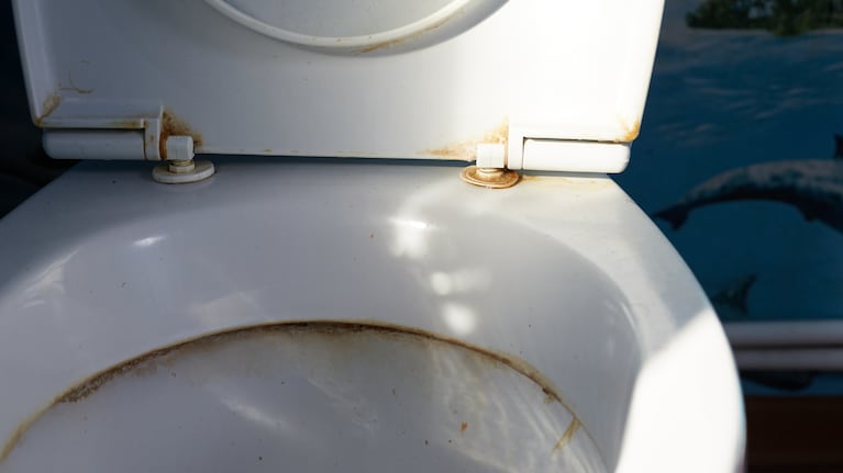 Tirpstant ledas sukuria trintį, kuri padeda pašalinti nuosėdas ir mineralines liekanas, prilipusias prie tualeto sienų (Nuotrauka: