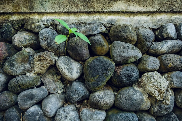 Šis metodas, kuriam reikalingas tik verdantis vanduo, neturi įtakos paviršiui, ant kurio jis naudojamas. (Nuotrauka: Pixabay)