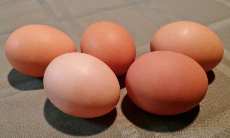 Nei šaltas vanduo, nei actas: pagrindinis ingredientas nulupti kietai virtą kiaušinį per mažiau nei 1 minutę