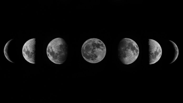 fases de la luna de mayo para abonar las plantas segun calendario lunar 2025