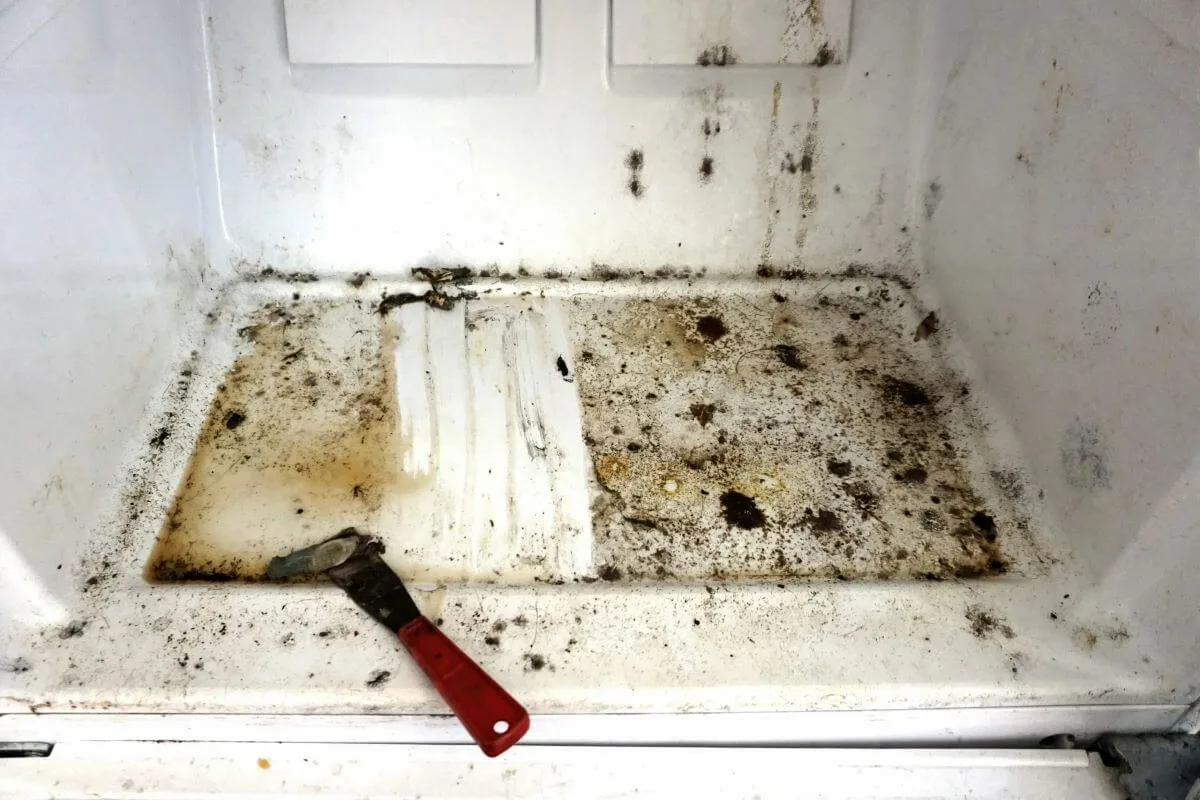 Ar žinojote? Ši maža skylutė kiekvieno šaldytuvo apačioje gali prailginti jo tarnavimo laiką ir išvengti nemalonių kvapų.