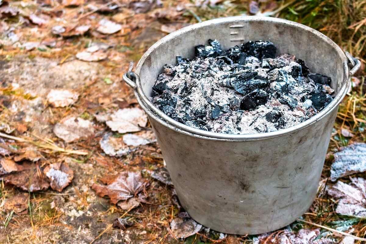 Niekas nekalba apie šį krosnies pelenų panaudojimą: jūsų sodas taps derlingesnis per savaitę!