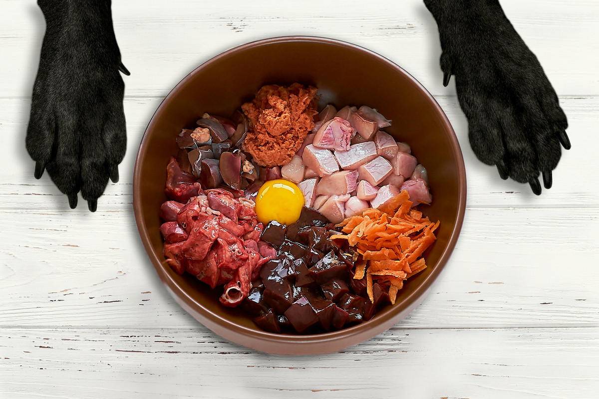 Ar žalios mitybos dieta tinka jūsų šuniui? Štai ką sako ekspertai