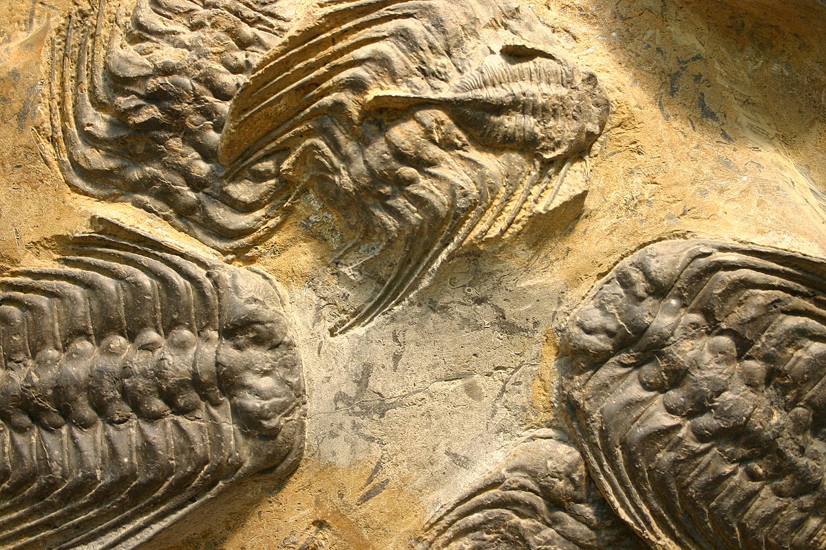 Apstulbimas atradus naują civilizaciją, kuri visiems laikams pakeitė istorijos chronologiją