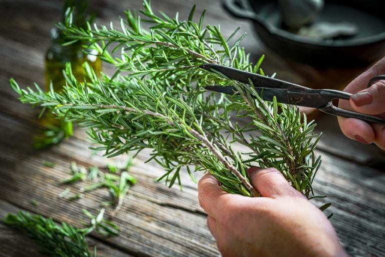 Atsisveikinkite su žvilgančiais ir trapiais plaukais, pridėdami šiuos 3 ingredientus į šampūną