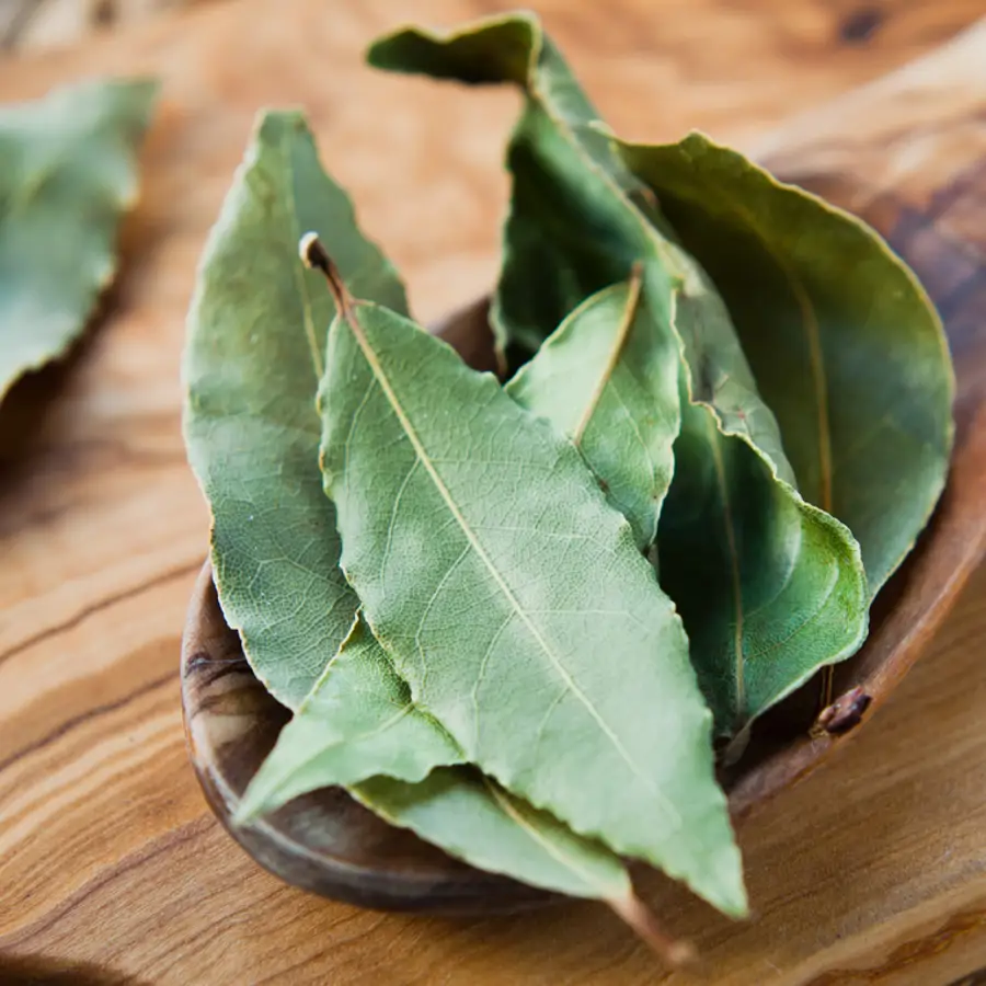 Laurel