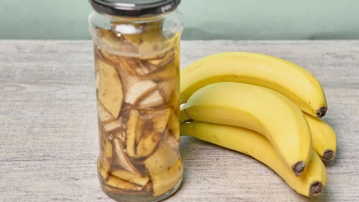  Neišmeskite: kodėl jie rekomenduoja bananų žieveles dėti į stiklainį su vandeniu 