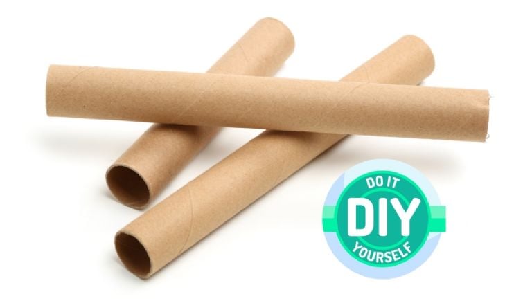 "Pasidaryk pats": neišmeskite tualetinio popieriaus ritinėlių ir padarykite šį patogų daiktą savo sodui